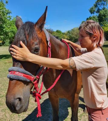 293095731 2198094813684856 1587335153766354290 n